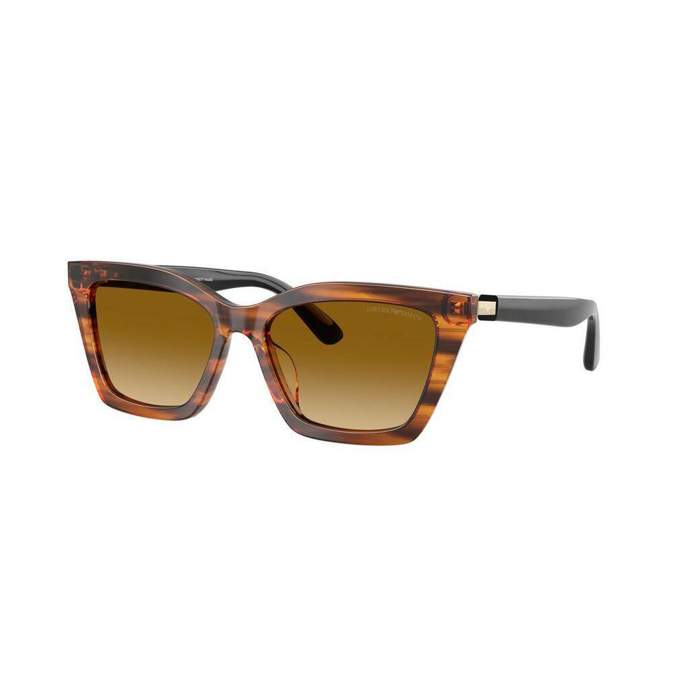 Lente solar Emporio Armani 0EA4250U image number 3
