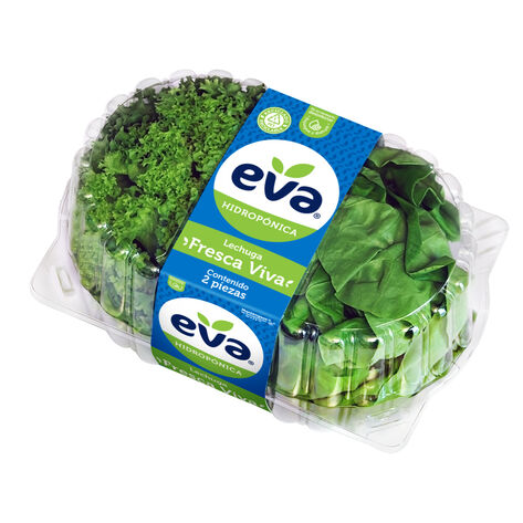 Lechuga Fresca Viva 2 pzas