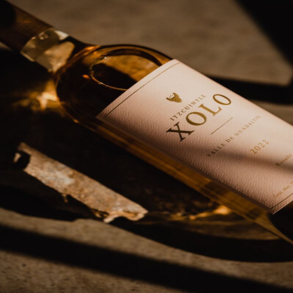 Vino Rosado Xolo 750 ml image number 2