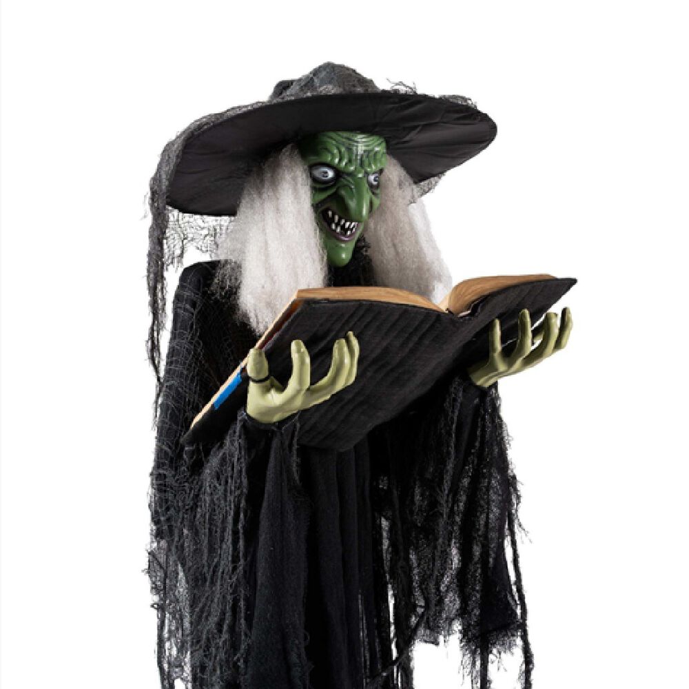 Bruja Decorativa Member&acute;s Choice image number 1