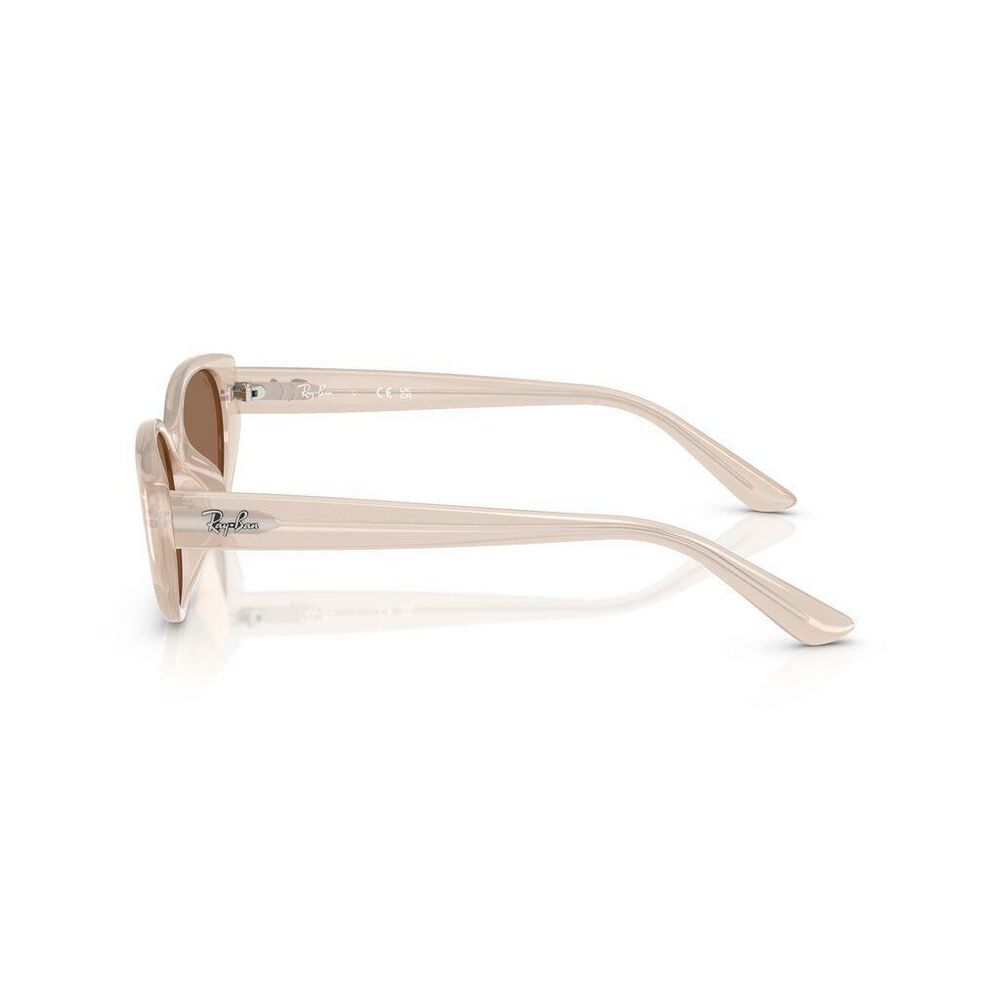 Lente solar Ray-Ban 0RB4457D image number 1